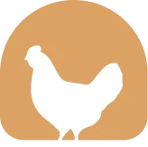 بن‌زا چیکن