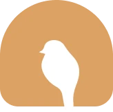 بن‌زا چیکو