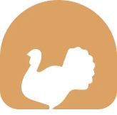 بن‌زا چیک