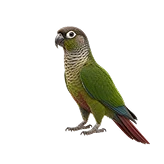 گرینچیک