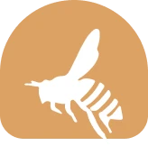 بن‌زا بی